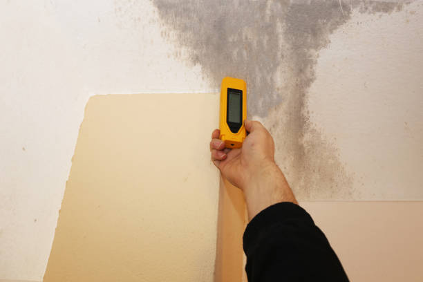 Biohazard Mold Removal in Lake Wylie, SC