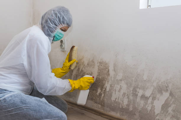 Mold Removal for HVAC Installations in Lake Wylie, SC