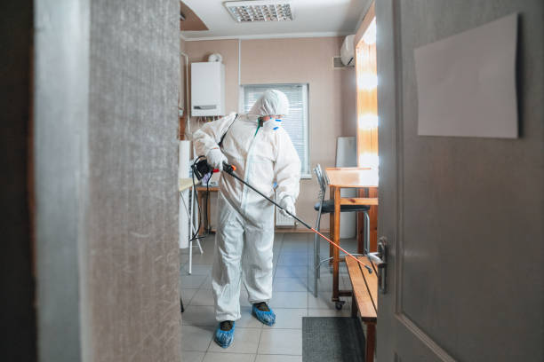 Best Real Estate Mold Inspection  in Lake Wylie, SC