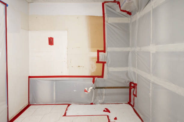 Best HVAC Mold Inspection and Cleaning  in Lake Wylie, SC