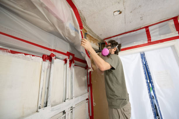 Best Mold Odor Removal Services  in Lake Wylie, SC