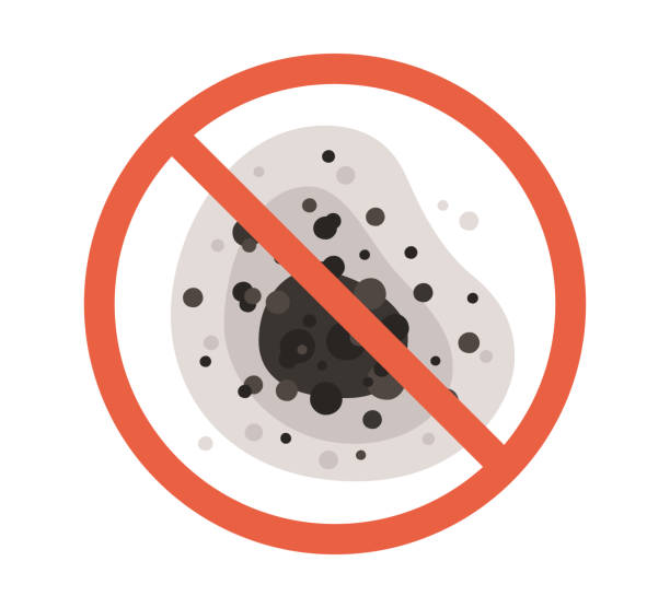 Best Biohazard Mold Removal  in Lake Wylie, SC