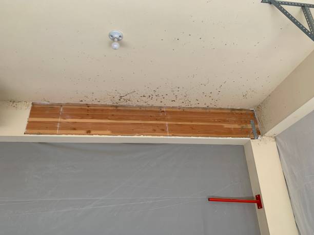 Best Biohazard Mold Removal  in Lake Wylie, SC