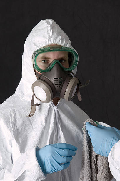 Best Black Mold Removal  in Lake Wylie, SC
