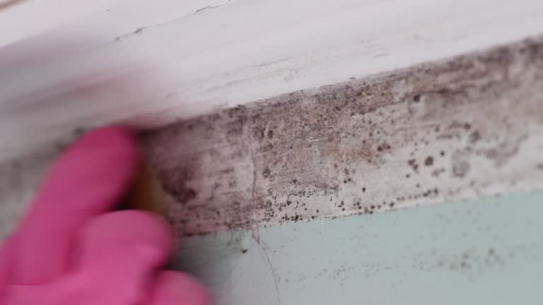 Best HVAC Mold Inspection and Cleaning  in Lake Wylie, SC